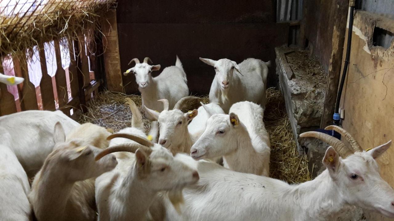 ترامونتي Cantina Del Casale المظهر الخارجي الصورة